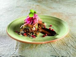 6x Speiseteller Flacher Teller Rund Tafelgeschirr Porzellan Grün Creme Bonna Aura Therapy Gourmet 27cm Kantenschutz -Besteckladen 8285639e 383e 47a3 9c00 bb75567e3020